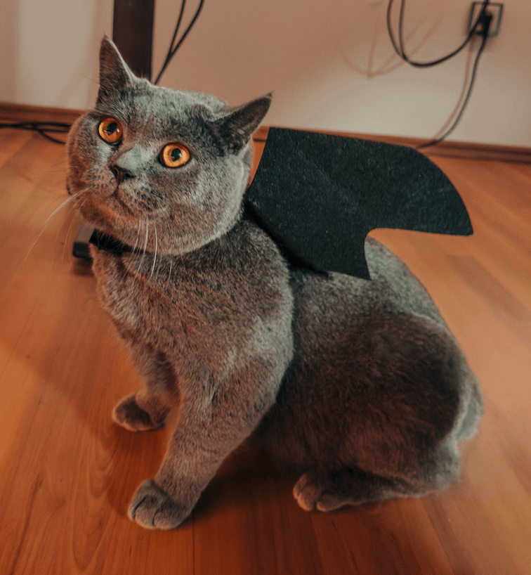 Milo